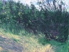 rolyakov-art (5)
